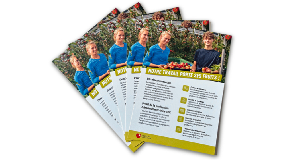 Formation arboriculture