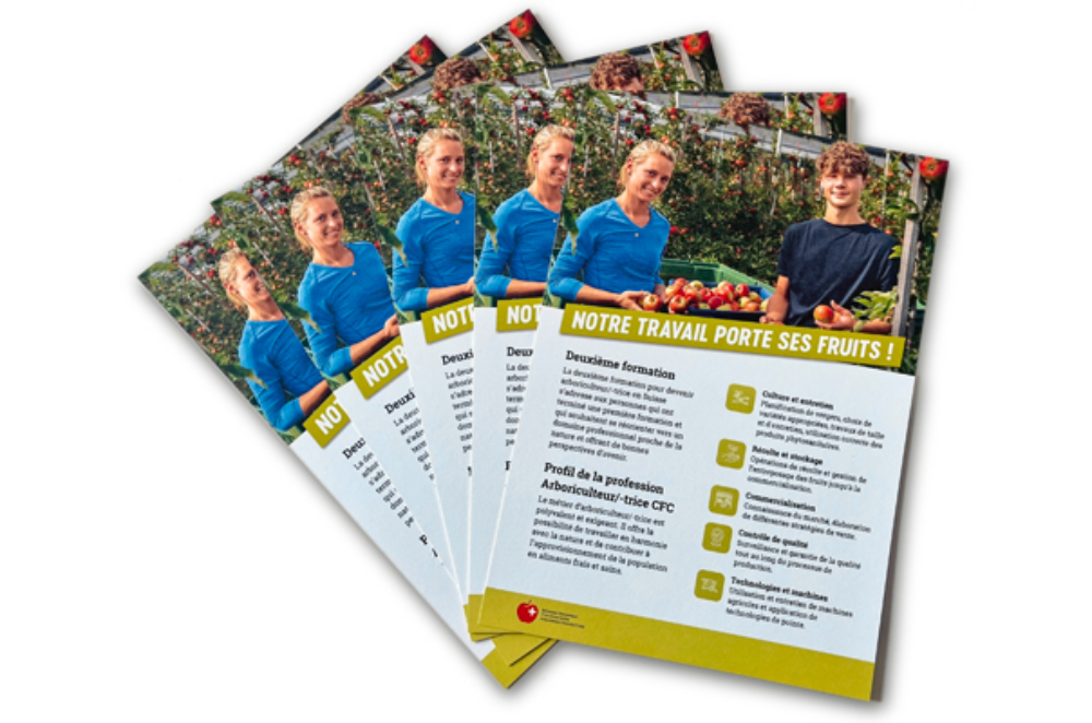 Formation arboriculture