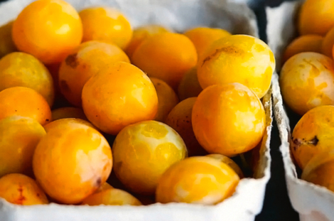 Mirabelles