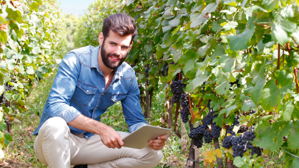 LÉGÈRE RÉFORME DE L’EXAMEN FINAL DE LA MAÎTRISE