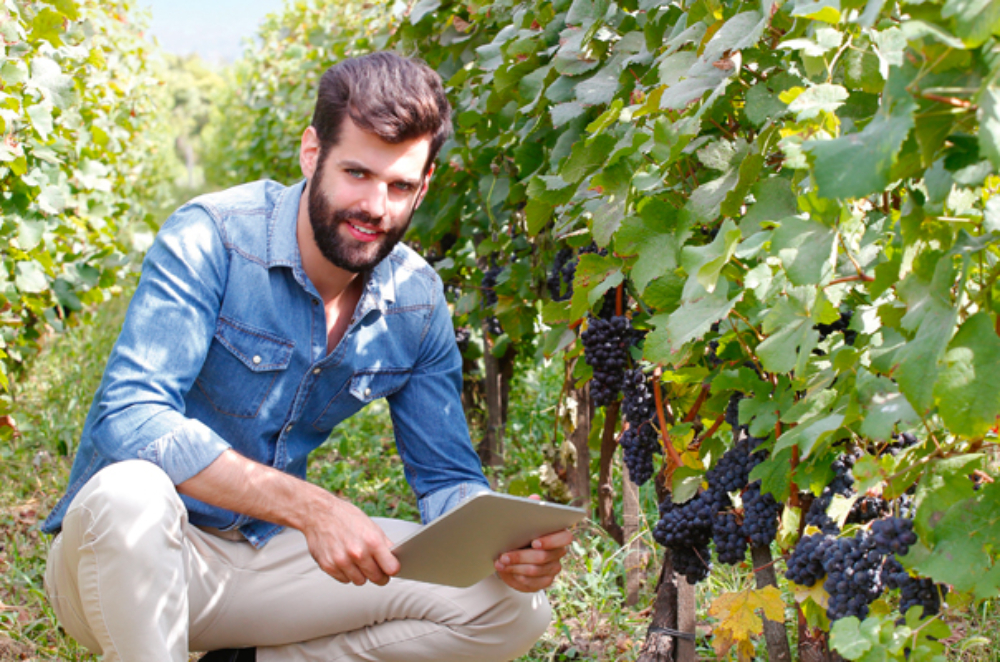 LÉGÈRE RÉFORME DE L’EXAMEN FINAL DE LA MAÎTRISE
