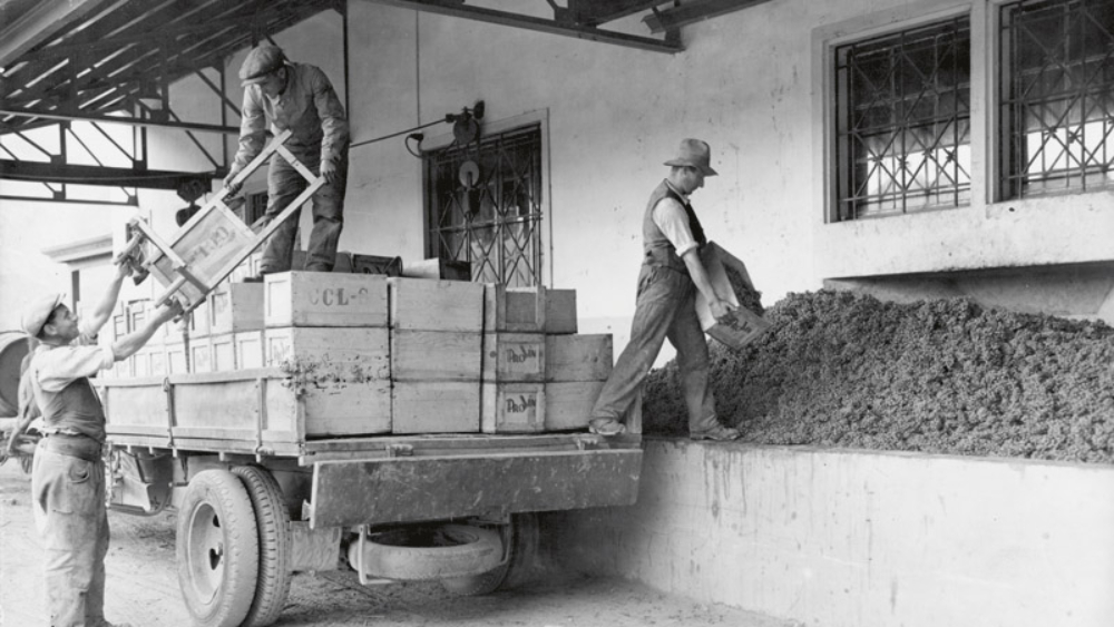 Cave Provins, à Sion, dans les années 40