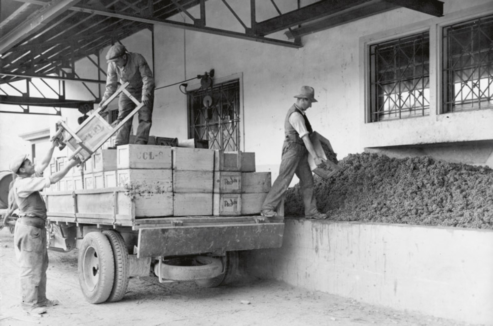 Cave Provins, à Sion, dans les années 40