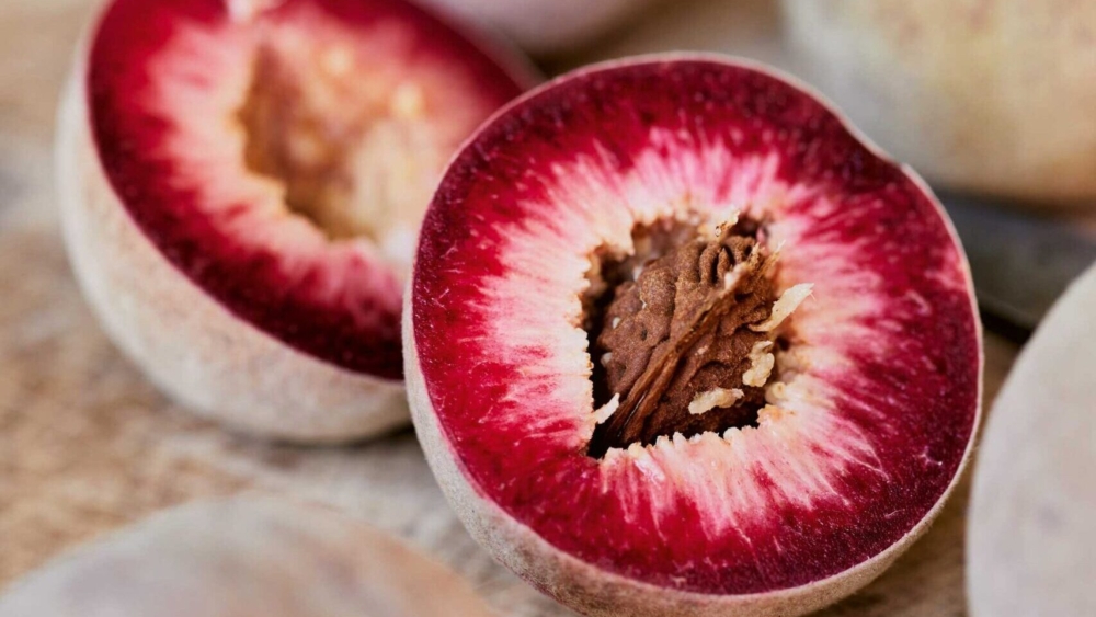 Pêches de vigne rouges