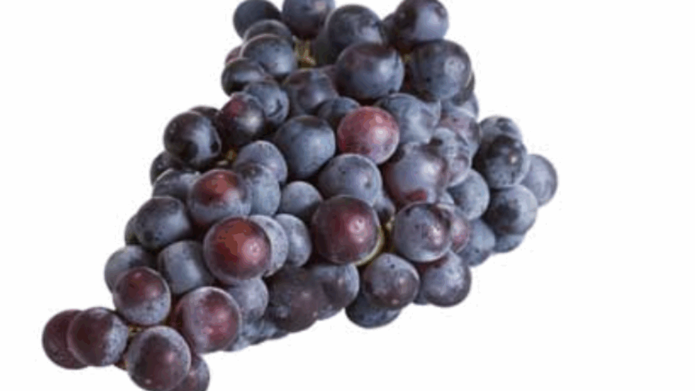 FiBL – Bio Suisse – Demeter