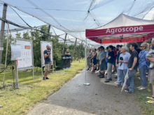 La Journée de Güttingen est organisée chaque année par Agroscope et le BBZ Arenenberg.