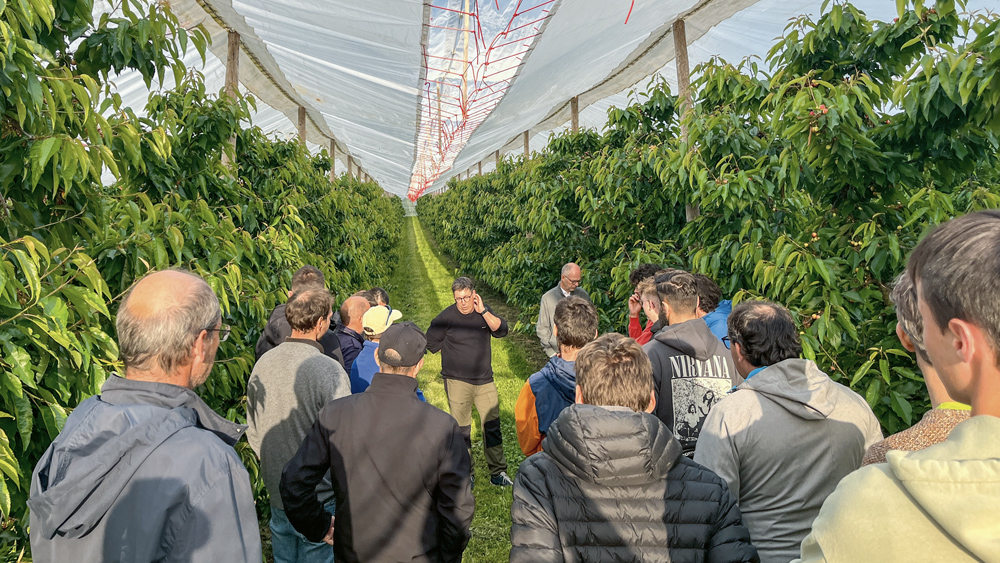 Exploitation de Cédric Blaser à Vufflens-le-Château.